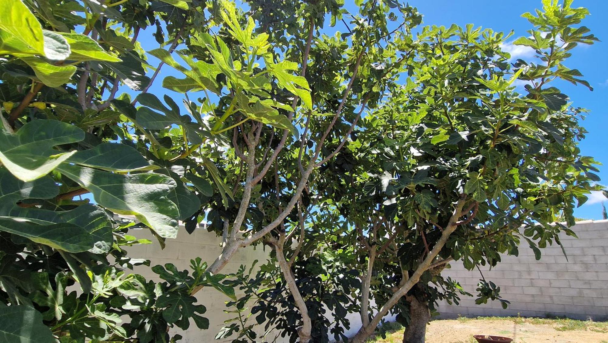 Casa Vacacional En Holiday home Chiclana de la Frontera